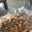 대왕곰장어 이미지