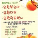 유황농산물 박스 및 팜프렛, 스티커를 디자인시, 상의 바랍니다. 이미지