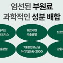 뮨2025 이미지