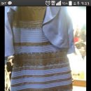 다이나믹뮤직복싱 이미지