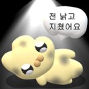 W9. 웨딩촬영 후기│노브스튜디오/샐리웨딩/라니엘/무이/베르겔