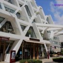 신사-214 | 성수 가로수길 핫플 카페 제이엠커피 신사라운지 성수 가로수길 핫플 카페, 브런치와 커피의 완벽 조화