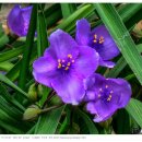 구립암사어린이집 이미지