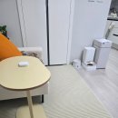 Refine | 1인 쇼파 러그 추천｜오늘의집 layer refine 사계절 러그 사용 후기