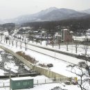 판교구역전
