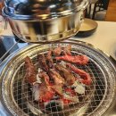 인생소갈비살