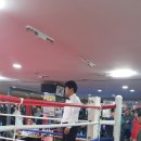 배호조 다이어트 복싱클럽 이미지