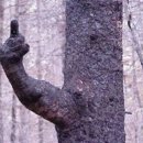 태풍은불어도철가방은간다 이미지