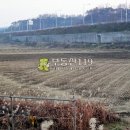 삼태리농장 이미지