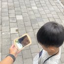 수봉자연학습원 | [인천 아이랑]수봉산 수봉공원 유아숲체험원 주말 나들이 다양한 체험 후기 인천아빠육아천사단