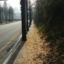 구성도서관 이미지