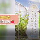농부아빠팜 이미지