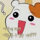 폰사자 이미지