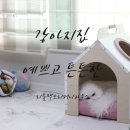 리틀퍼니 이미지