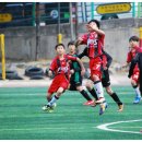신답초등학교 이미지