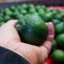 청용농장 이미지