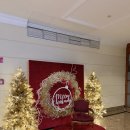 클래식 | 인터컨티넨탈 부다페스트 클래식룸 후기