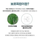 루체테 스킨 앤 바디 네이버블로그