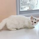 광도초등학교 이미지