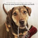 A dog's (어독스) 티스토리
