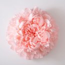 페이퍼 플라워아트 이미지