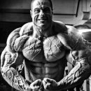 FITNESS인 이미지