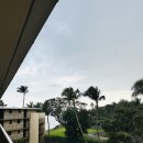 에이스 A·I센터 | 마우이 여행 대가족 숙소 마알라이아 카나이아날루(Kanai a nalu) 콘도 이용 후기