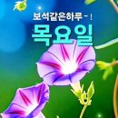 희소 이미지