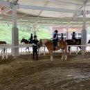 승마공원 이미지