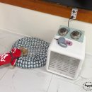 노을마당 | 대부도 독채 펜션 | 반려견과 노을을 즐기는 개꿀하우스 진짜 솔직 후기