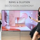 베오 베오 이미지