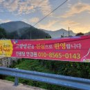선광당안경원 이미지