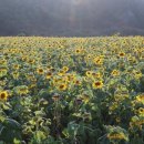 율치농장 이미지