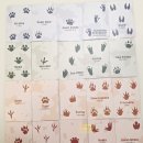 창의통합보드게임 | 누구의 발자국일까 환경보드게임 체험단 초등1-2학년 후기