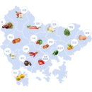 四字成語 총정리 ㄷ 301 도해사선법~도형발생기