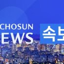 백악관 이미지