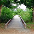 시민의숲 이미지