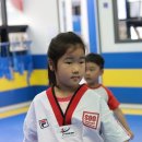 SOO태권도장 이미지