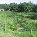 갈곡 연정 이미지