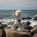 그린태권도 이미지