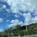 홈플러스중계점 버스정류장(11443) | 야구는 NC다이노스🦕🦖창원 NC파크🦖🦕직관 후기