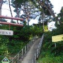 백일홍상사 이미지