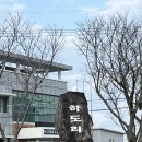 [제주도 게하 추천] 삼식이네 : 제주 구좌 소규모 게하 (+ 저녁 파티 후기)