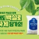주식회사 몰리턴 이미지