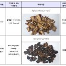 태산네트웍스 이미지