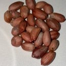 금하횟집 이미지