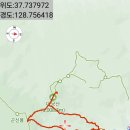 대궁 티스토리