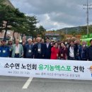 소수면사무소 이미지