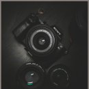 세계 여행 행정사 이미지