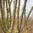 일상의집 이미지